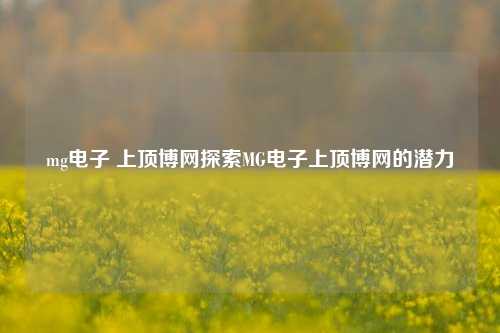 mg电子 上顶博网探索MG电子上顶博网的潜力