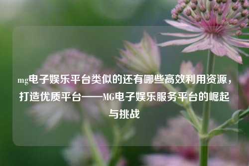 mg电子娱乐平台类似的还有哪些高效利用资源，打造优质平台——MG电子娱乐服务平台的崛起与挑战