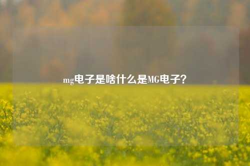 mg电子是啥什么是MG电子？
