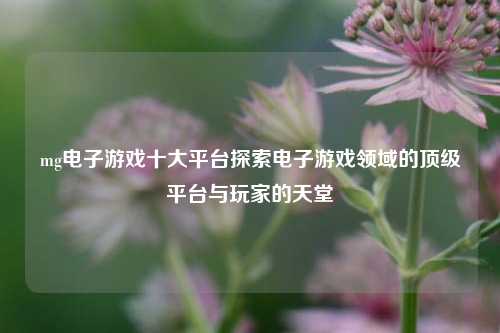 mg电子游戏十大平台探索电子游戏领域的顶级平台与玩家的天堂