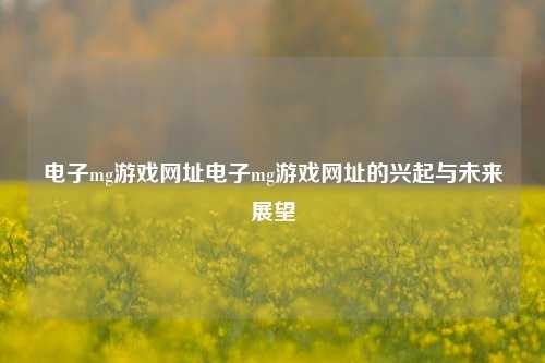 电子mg游戏网址电子mg游戏网址的兴起与未来展望
