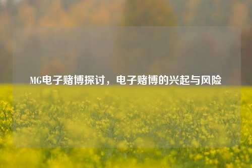 MG电子赌博探讨，电子赌博的兴起与风险