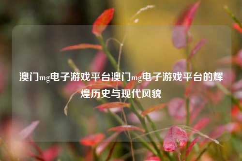 澳门mg电子游戏平台澳门mg电子游戏平台的辉煌历史与现代风貌