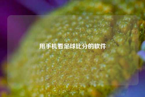 用手机看足球比分的软件