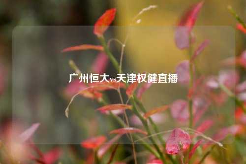 广州恒大vs天津权健直播