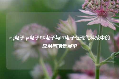 mg电子 pt电子MG电子与PT电子在现代科技中的应用与前景展望
