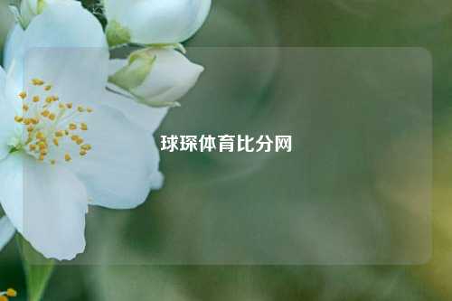 球琛体育比分网