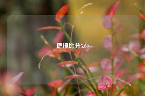捷报比分5.60