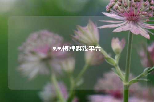 9999棋牌游戏平台