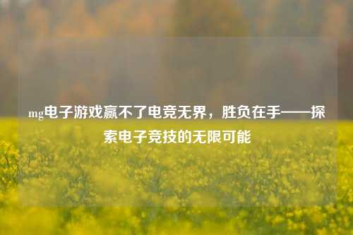 mg电子游戏赢不了电竞无界，胜负在手——探索电子竞技的无限可能