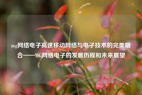 mg网络电子高速移动网络与电子技术的完美融合——MG网络电子的发展历程和未来展望