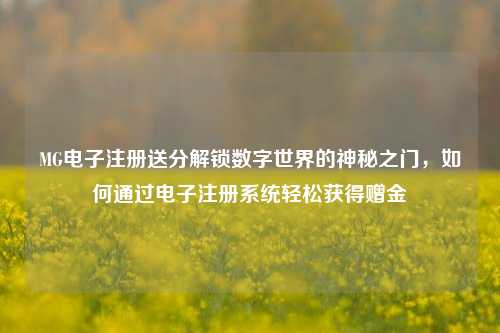 MG电子注册送分解锁数字世界的神秘之门，如何通过电子注册系统轻松获得赠金