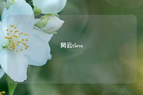 风云t5evo