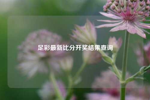 足彩最新比分开奖结果查询
