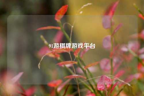91游棋牌游戏平台