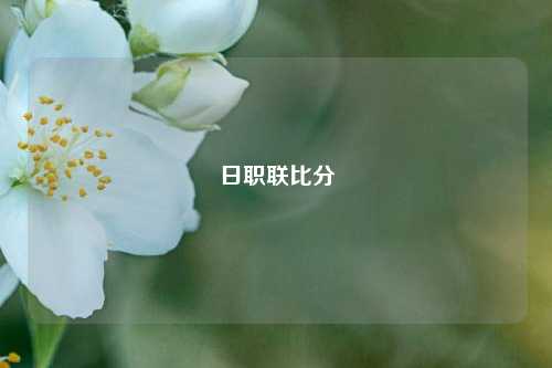 日职联比分