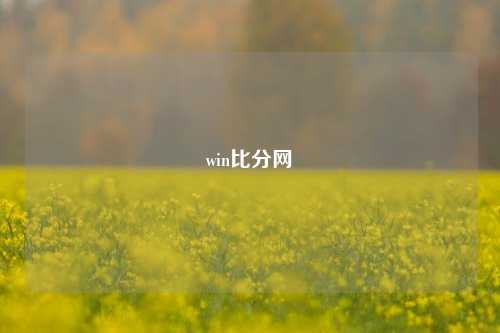 win比分网