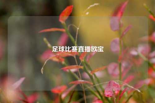 足球比赛直播欧宝