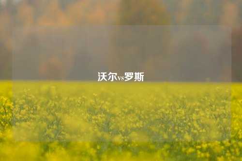 沃尔vs罗斯