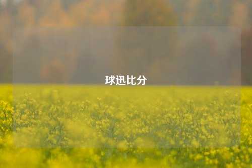 球迅比分