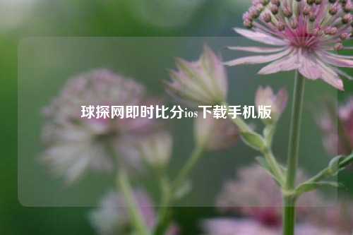 球探网即时比分ios下载手机版