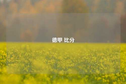 德甲 比分
