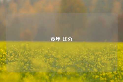 意甲 比分