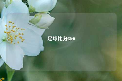 足球比分30:0