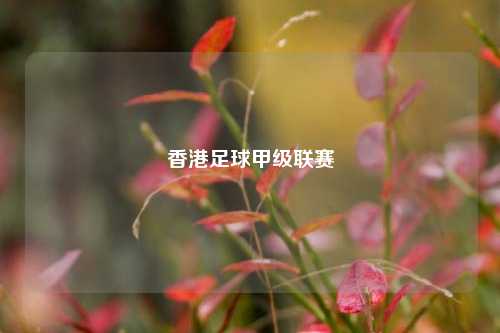 香港足球甲级联赛