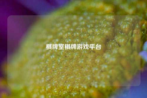 棋牌室棋牌游戏平台