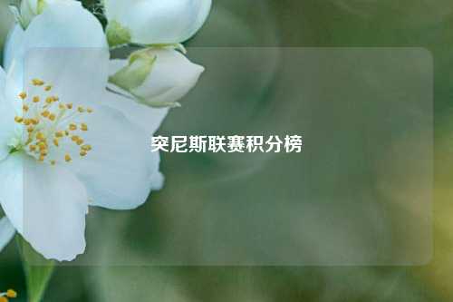 突尼斯联赛积分榜
