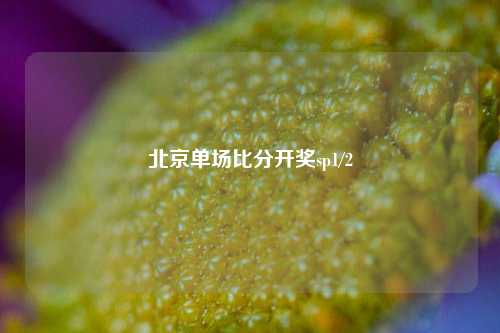 北京单场比分开奖sp1/2