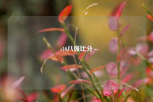s10八强比分