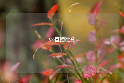 500直播比分