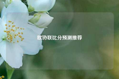欧协联比分预测推荐