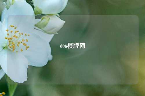 606棋牌网