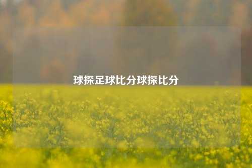 球探足球比分球探比分