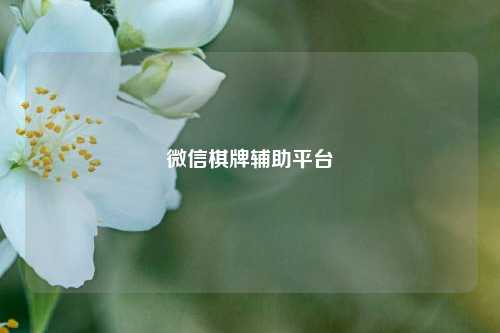 微信棋牌辅助平台