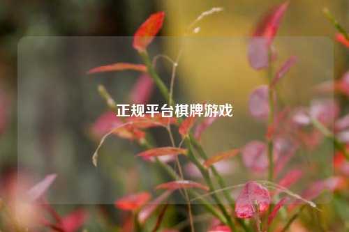 正规平台棋牌游戏
