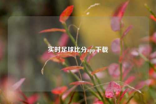 实时足球比分app下载