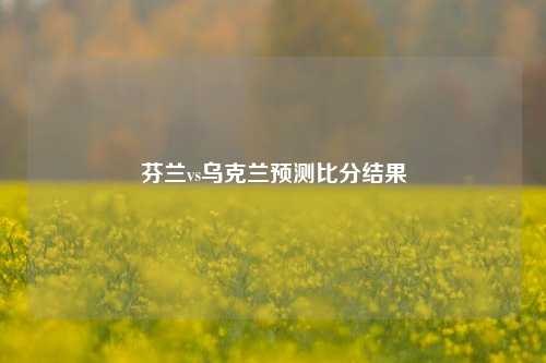 芬兰vs乌克兰预测比分结果