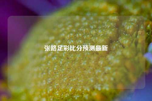 张路足彩比分预测最新