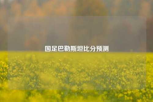 国足巴勒斯坦比分预测