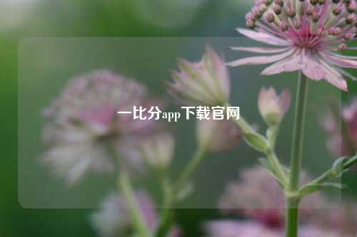 一比分app下载官网