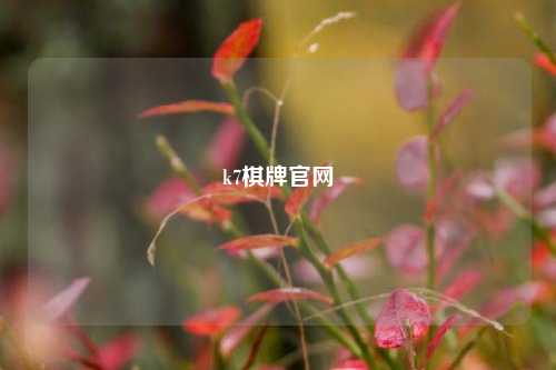 k7棋牌官网