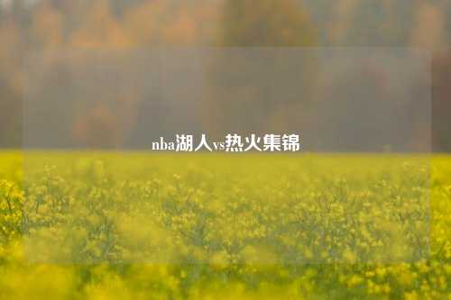 nba湖人vs热火集锦