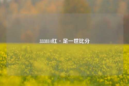 333814红·足一世比分