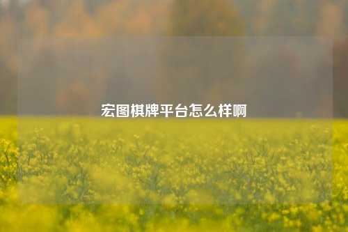 宏图棋牌平台怎么样啊