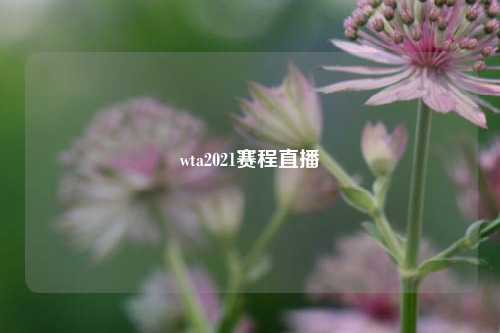wta2021赛程直播