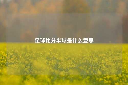 足球比分半球是什么意思